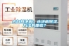 大自然地板：木地板除濕方法有哪些？