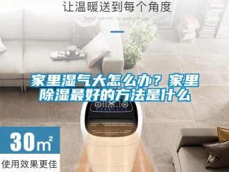 企業(yè)新聞家里濕氣大怎么辦？家里除濕最好的方法是什么