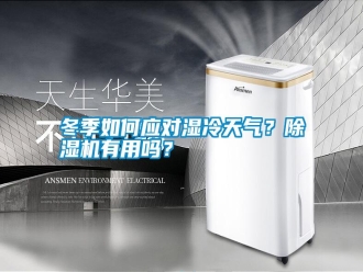 行業(yè)新聞冬季如何應(yīng)對(duì)濕冷天氣？除濕機(jī)有用嗎？