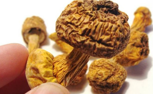 巴西菇、姬松茸烘干機(jī)-怎樣烘干色澤好且菇體褶片完整？