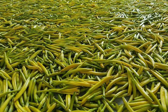 無(wú)硫金針菜烘干如何保持品相？不發(fā)黑？_除濕機(jī)廠家