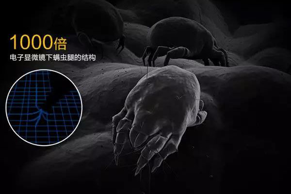 螨蟲高發(fā)季，家用除濕機除螨有妙計！