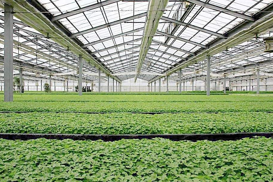除濕器如何解決高濕度、多種危害的溫室除濕問題？